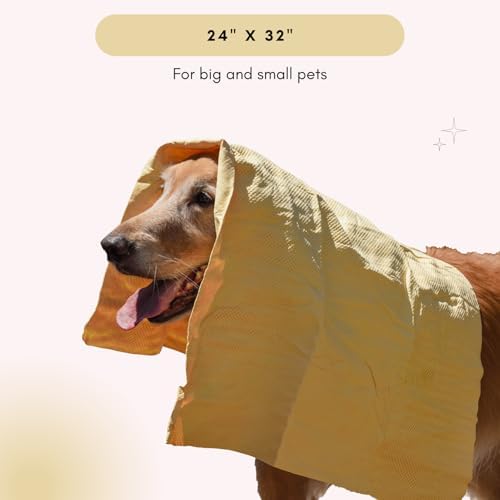 HydroSwipe for Dogs - Image 6