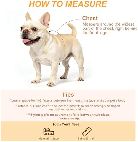 BEAUTYZOO Adjustable No Pull Dog Harness and Leash Set, Linen Style Woven - Image 7