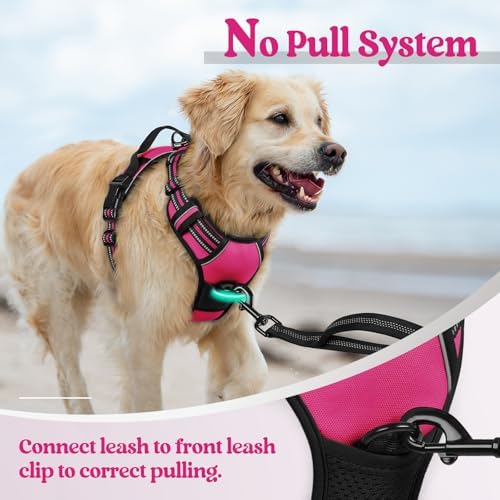 rabbitgoo Dog Harness, No Pull for Large Dogs - Image 5