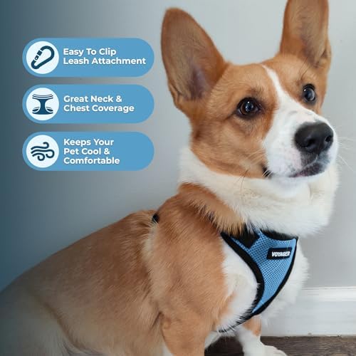 Voyager Step-in Lock Dog Harness - Image 3