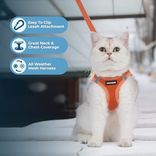 Voyager Step-in Air Cat Harness & Leash Set - Image 2