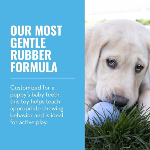 KONG Puppy, Natural Rubber Teething Chew Toy, - Image 4