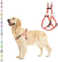PUPTECK No Pull Dog Harness Medium Sized Step-in Adjustable Puppy Vest by PUPTECK