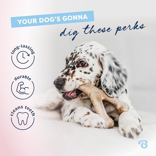 Benebone Puppy 4-Pack Dog Chew Toys - Image 5