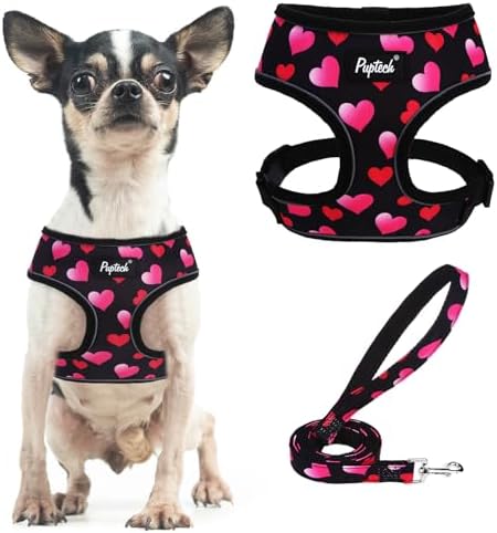 PUPTECK Small Dog Harness and Leash Set No Pull by PUPTECK
