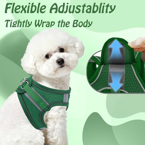 AIITLE Small Dog Harness and Leash Set, Step-in Puppy Pet Vest - Image 5