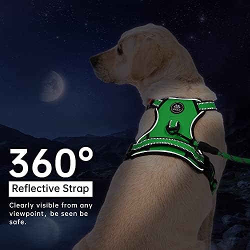 IVY&LANE No Pull Dog Harness for Small Dogs, Reflective Dog Vest Harness - Image 6