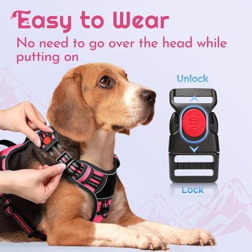 Eagloo Dog Harness No Pull for Medium Dogs, Easy On & Off - Image 3