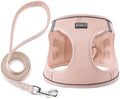 Dog Harness with Leash Set, Step-in Adjustable Puppy Vest, Light Pink XL by BOOMIBOO