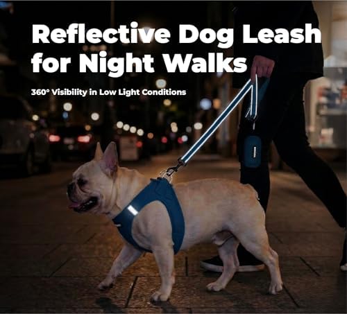 Best Pet Supplies Voyager Nylon Dog Leash - Image 5