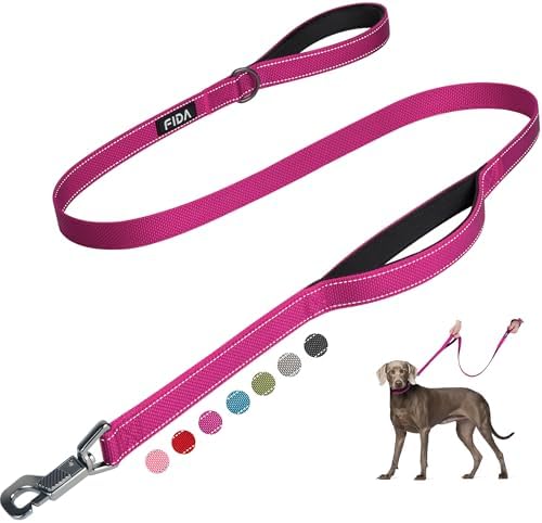 Fida Heavy Duty Dog Leash for Medium Large Dogs, 5 FT, Dual Padded Handles by Fida