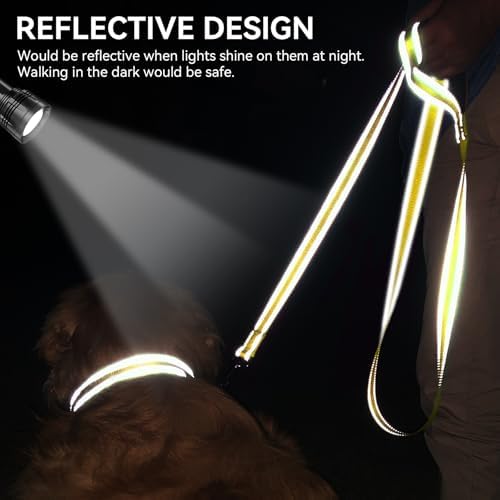 Joytale Reflective Dog Leash for Medium & Large Dogs, 5 FT x 1" - Image 4