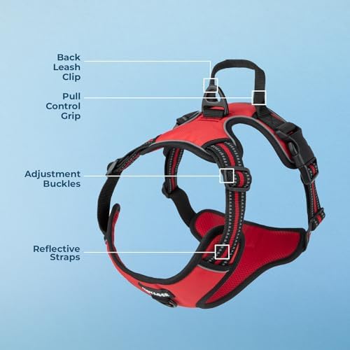 Voyager Dual Attachment No Pull Harness - Image 4