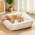Medium Dog Bed Calming Cat Bed for Indoor Cats 24’’x20’’ Ivory by Unknown