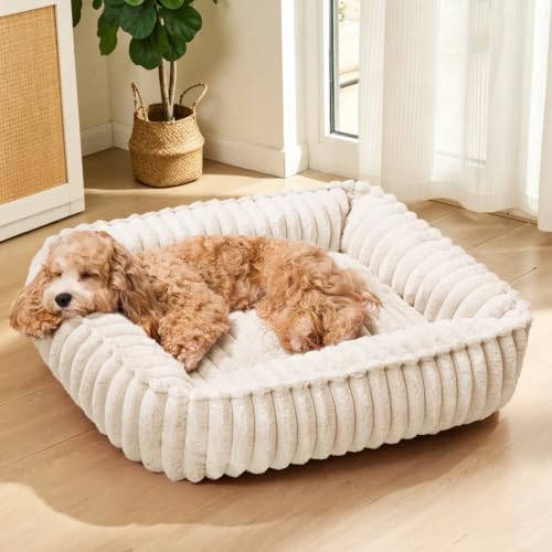 Medium Dog Bed Calming Cat Bed for Indoor Cats 24’’x20’’ Ivory by Unknown
