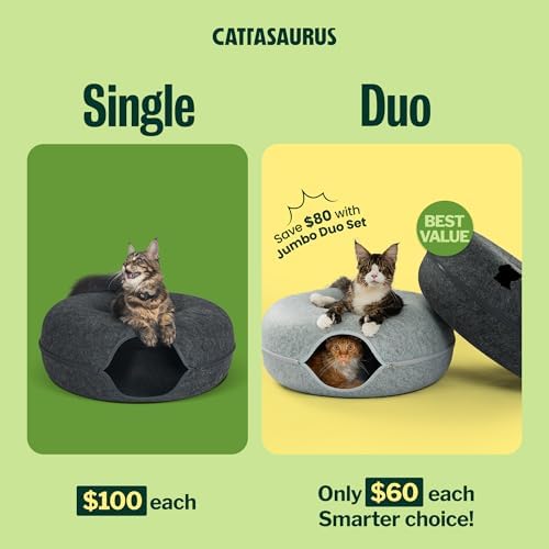 Cattasaurus Peekaboo Cat Cave Duo Jumbo Set, Extra Spacious Cat Donut - Image 2