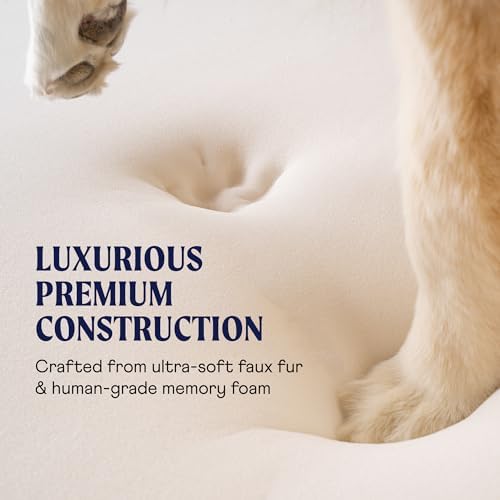 PAW BRANDS PupRug Orthopedic Memory Foam Dog Bed - Image 3