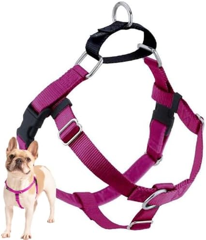 2 Hounds Design Freedom No Pull Dog Harness, 1 inch LG by 2HoundsDesign