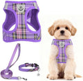 PUPTECK Dog Harness, Collar and Leash Set No Pull by PUPTECK
