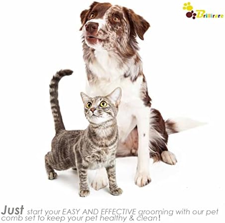 2 Pack Dog Grooming Brush, Premium Soft Silicone Pet Bath Brushes - Image 7