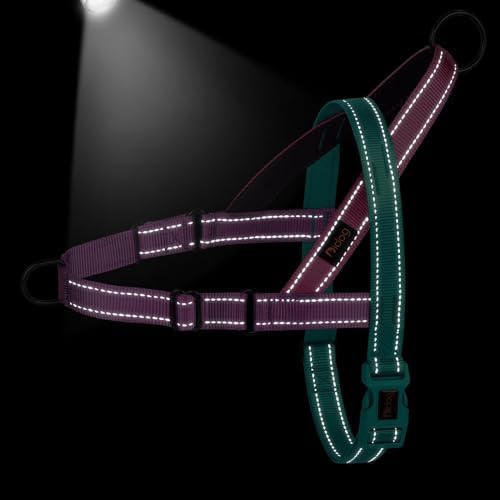 Didog No Pull Dog Harness for Small Dogs, Soft Padded Handle, Dark Green - Image 4