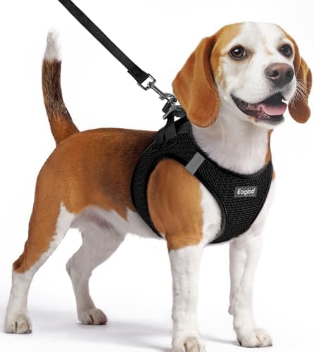 Eagloo Small Dog Harness and Leash Set, Step in Medium Small Puppy Pet Vest by GoExplorewithEagloo