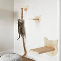 Weysat 2" x 4.92 ft Cat Climbing Rope by Weysat