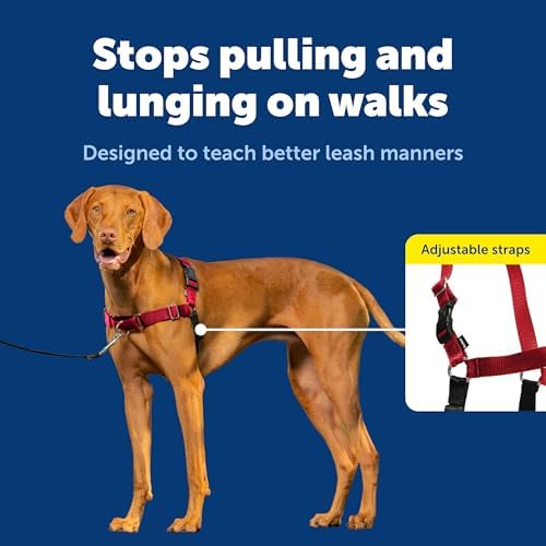 PetSafe Easy Walk Harness for Dogs - Image 3