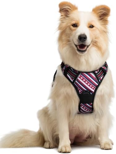 rabbitgoo Dog Harness, No Pull Medium Sized by rabbitgoo