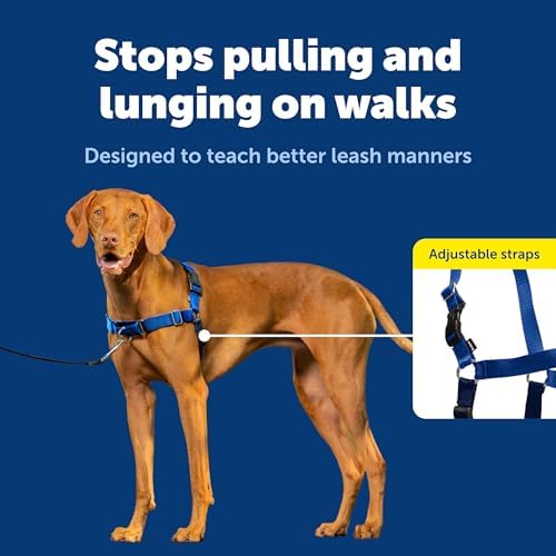 PetSafe Easy Walk Harness, No Pull Dog Harness, Royal Blue - Image 3