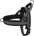 Didog No Pull Dog Harness for Small Dogs, Breathable Mesh Padded by Didog
