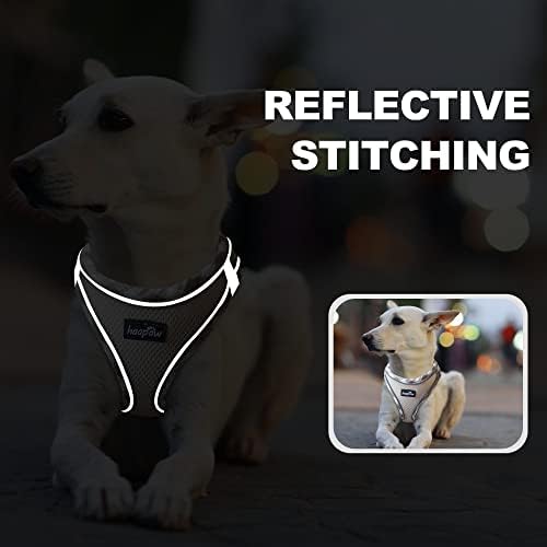 haapaw Dog Harness with Leash Set, No Pull Adjustable Reflective Step-in Puppy - Image 5