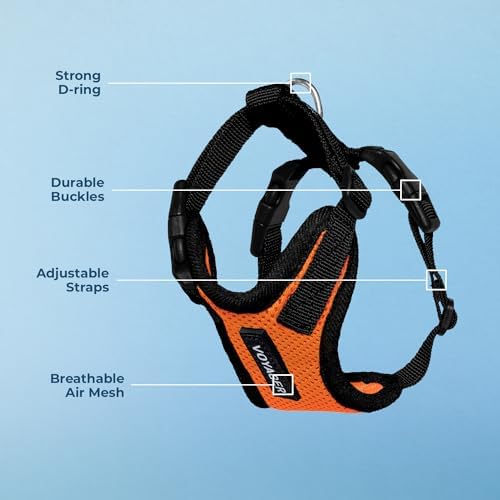 Voyager Step-in Lock Dog Harness - Image 4