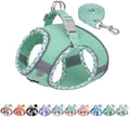 AIITLE Dog Harness and Leash Set by AIITLE-FORPETSBETTERLIFE