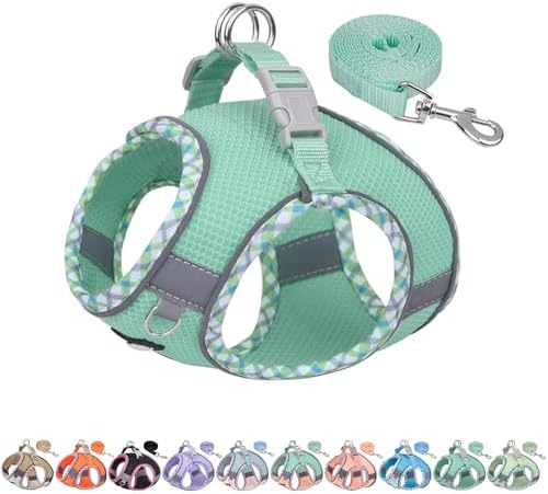 AIITLE Small Dog Harness and Leash Set by AIITLE-FORPETSBETTERLIFE
