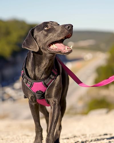 Joytale No Pull Dog Harness for Small Dogs, Front Clip, Hot Pink - Image 6