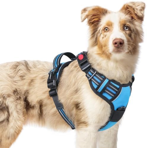 rabbitgoo Dog Harness Medium Sized, Updated Easy On & Off by rabbitgoo