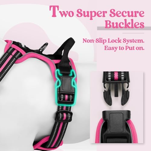 rabbitgoo Dog Harness, No Pull for Small Dogs - Image 3