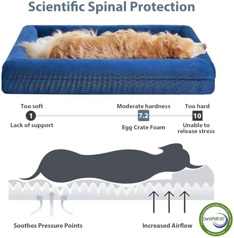 WNPETHOME XXL Extra Large Orthopedic - Image 3