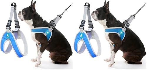 Gooby Simple Step in III Harness by Gooby