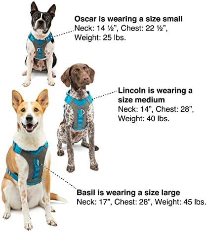 Kurgo Journey Air Dog Harness - Image 6