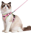 rabbitgoo Cat Harness and Leash Set, Escape Proof Vest by rabbitgoo