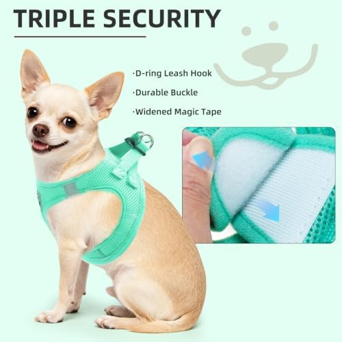 PUPTECK Dog Harness, Collar and Leash Set No Pull - Image 5