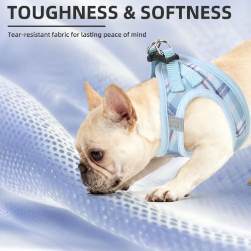 PUPTECK Dog Harness, Collar and Leash Set No Pull - Image 6