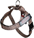 BULLHUG Adjustable Dog Harness– No Pull, No Choke – by BULLHUG