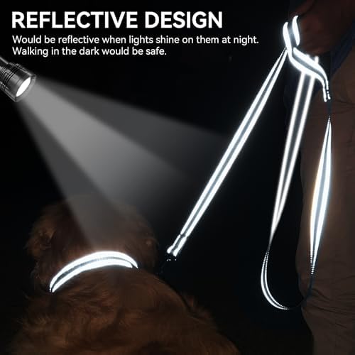 Joytale Reflective Dog Leash for Medium & Large Dogs, 4 FT x 1" - Image 4