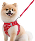 rabbitgoo Dog Harness Small Sized and Leash Set, Step in Soft Vest by rabbitgoo