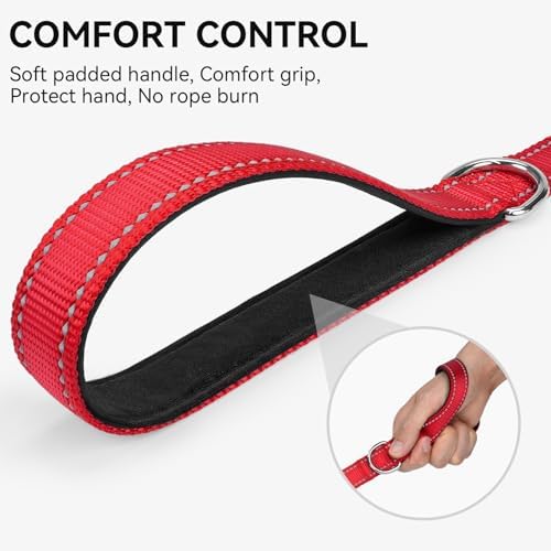 Joytale Reflective Dog Leash for Small Dogs, 4 FT x 3/4" - Image 3