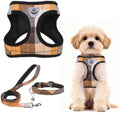 PUPTECK Dog Harness, Collar and Leash Set No Pull by PUPTECK