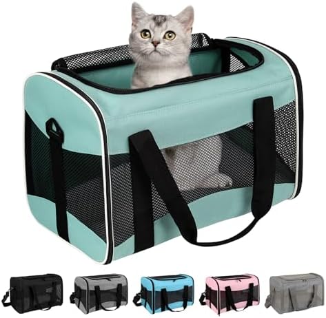 Small Animal Travel, Carrier for Hedgehog Rat Parrot Bird Guinea Pig, Lizards by home